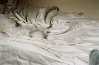 photo/3b8e691c-72b8-4120-b79e-79fc59757788-3