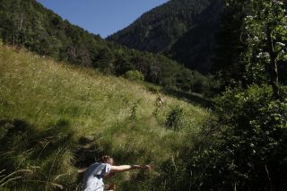 photo/3e9af3aa-9237-4d80-bf5b-781e6036bf0b-3