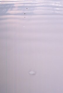 photo/465cd938-824f-40a3-92b1-a15bfacb70ac-3