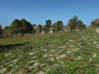 DSCF4648.JPG
