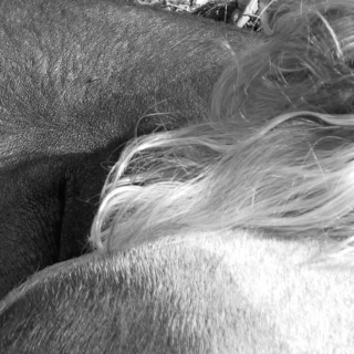 photo/579cd75d-8b52-44f1-af4e-5f146c740bc3-3