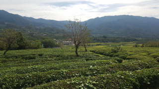 photo/718a6e00-430e-475d-a5c2-72d95408a687-3