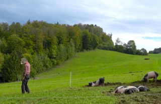 photo/7bd54b81-a1a1-41d1-bbe9-540d026e10c5-3