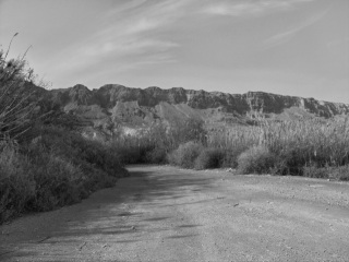 DSCF4640.jpg