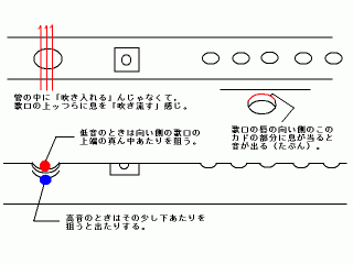 photo/c9c7e1b3-b0bb-4b68-a9d6-c116048cbf08-3