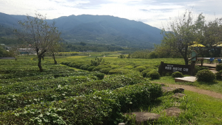 photo/cbd6faba-4ed2-4aee-b271-0dd5199f2dbd-3