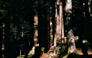 photo/e68daa96-26e3-49fd-9392-d3cb13e971de-3