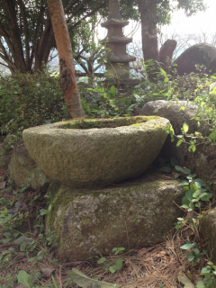 photo/e6c6b33f-04c1-40b1-9243-d479e555178c-3