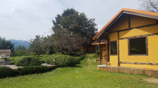 photo/f8790e58-72b1-418f-91bd-93023adae2cd-3